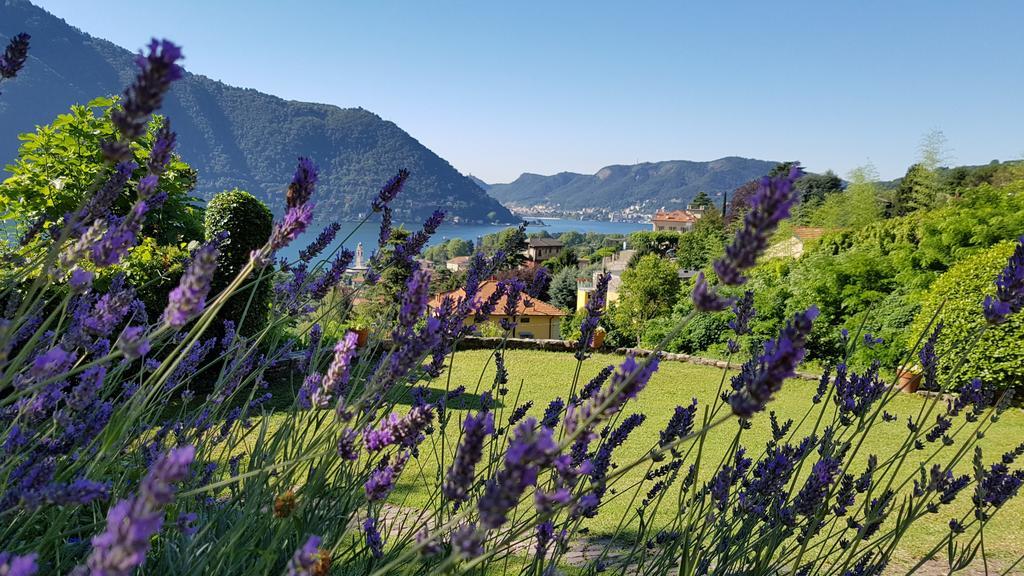 La Finestra Sul Lago Cernobbio Dış mekan fotoğraf